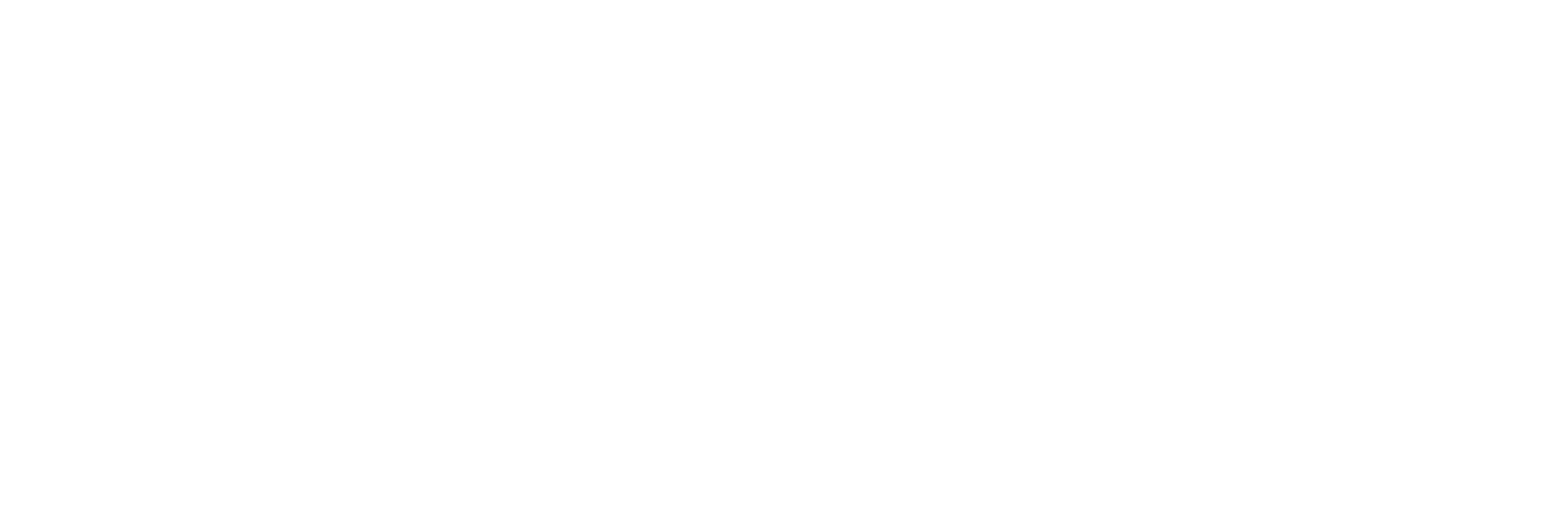 Zaya Concept